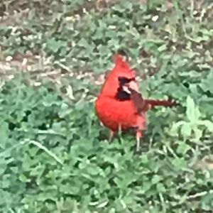 Meet your Posher, Jim